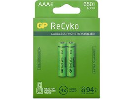 GP BATTERIES Piles rechargeables Recyko 2 x AAA 650 mAh (GP65AAAHCE-2APCBNB4)