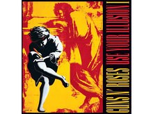 Charger l&#39;image dans la galerie, Guns N&#39; Roses - Use Your Illusion - CD
