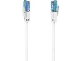 Deux câbles réseau blancs avec connecteurs bleus, fond noir.