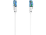 Deux câbles réseau blancs avec connecteurs bleus, fond noir.