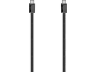 Câble USB-C noir avec deux connecteurs, sur fond blanc.