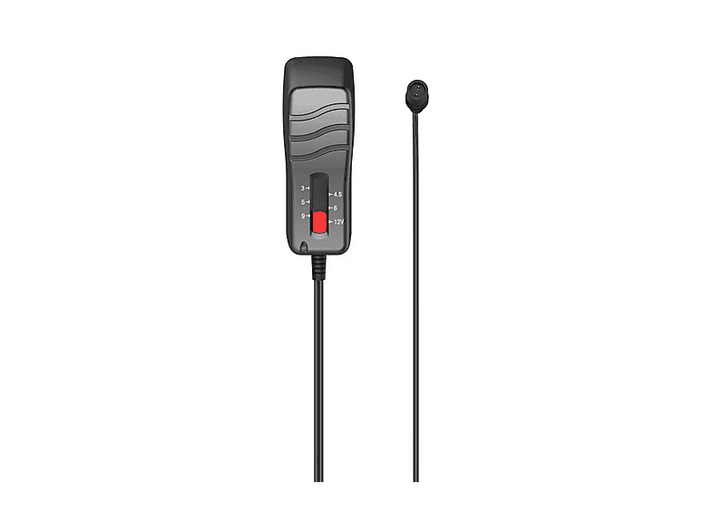 alt1