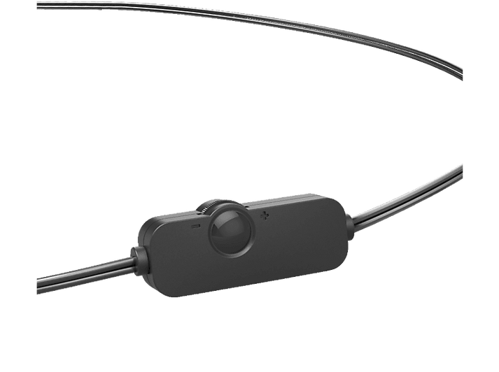 alt1