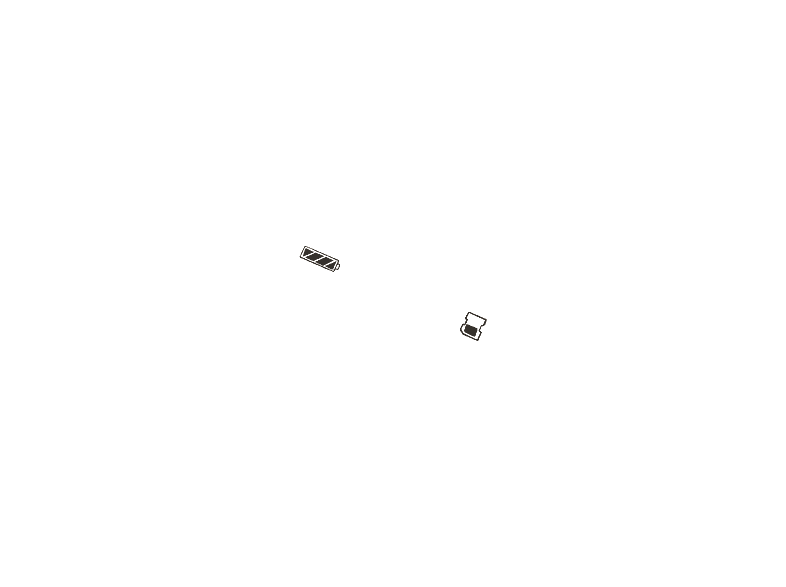 alt1