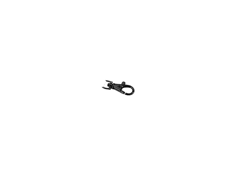 alt1