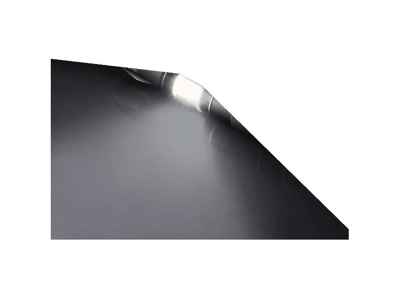 alt1