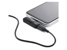 Charger l'image dans la galerie, alt1
