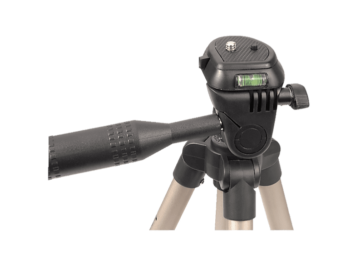 alt1