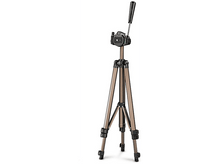 Charger l'image dans la galerie, alt1
