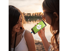 Charger l'image dans la galerie, alt1
