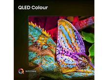 Charger l&#39;image dans la galerie, Un caméléon aux couleurs vibrantes sur un écran de télévision, avec le texte QLED Colour.
