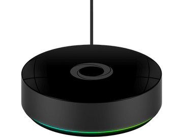 alt1