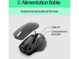 HP Souris sans fil 280 Silent Noir (19U64AA#ABB) Souris sans fil Noir