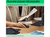 HP Souris sans fil 690 rechargeable Gris (7M1D4AA#ABB)