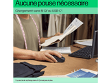 HP Souris sans fil 690 rechargeable Gris (7M1D4AA#ABB)