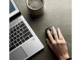 HP Souris sans fil DualMode Noir (6CR71AA)