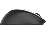 HP Souris sans fil Envy 500 Argenté (2LX92AA)