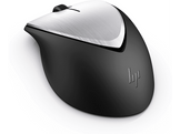 HP Souris sans fil Envy 500 Argenté (2LX92AA)