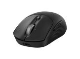 HP Souris sans fil rechargeable 700