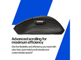 HP Ultra-Fast Scroll Wireless Mouse 780M