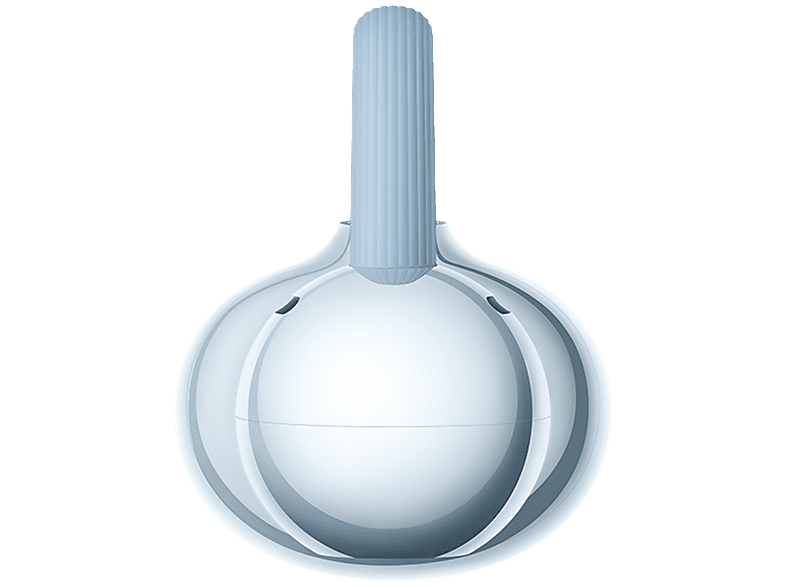 alt1