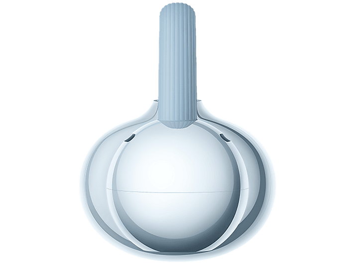 alt1