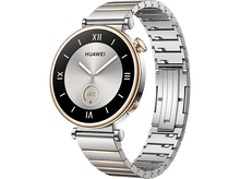 Charger l&#39;image dans la galerie, HUAWEI Watch GT 4 41 mm Stainless Steel (55020BHY)
