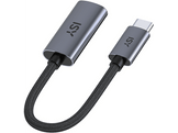 ISY Adaptateur USB-C naar DisplayPort 1.4 Z Gris (IDP 2500)