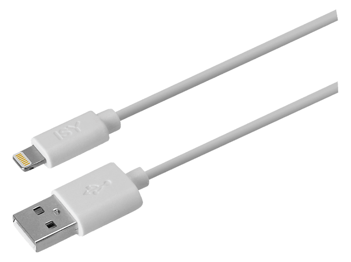 alt1