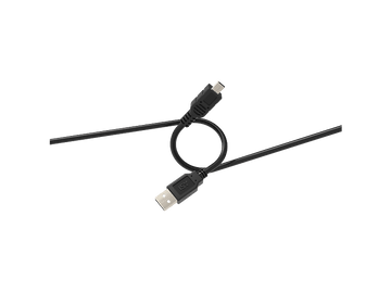 alt1