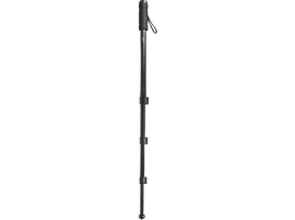 Monopode noir sur fond blanc. Le monopode est grand et fin.