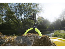 Charger l'image dans la galerie, alt1
