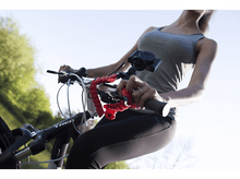 Charger l'image dans la galerie, alt1
