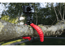 Charger l'image dans la galerie, Appareil photo sur trépied flexible, fixé à une branche d'arbre. Trépied rouge et fond vert.
