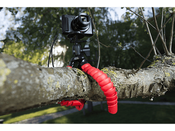 Appareil photo sur trépied flexible, fixé à une branche d'arbre. Trépied rouge et fond vert.