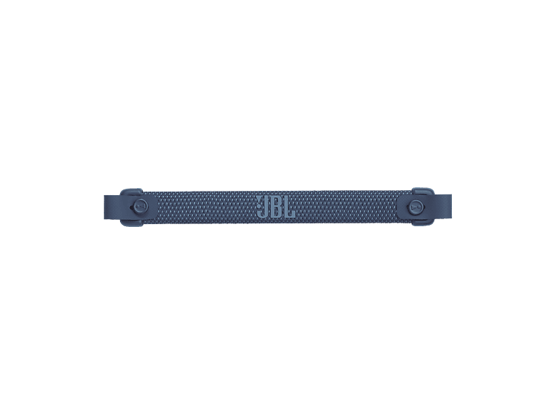 alt1