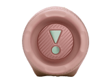 JBL Charge 6 Rose