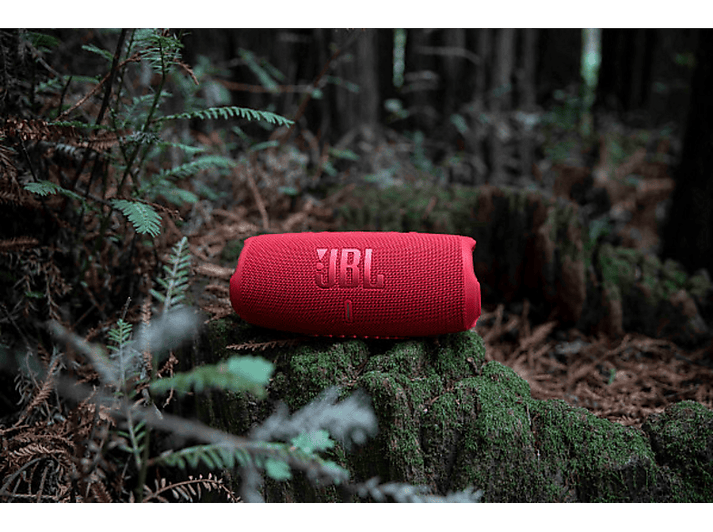 alt1