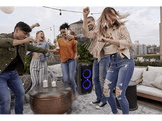 JBL Enceinte portable Partybox 310 Noir (JBLPARTYBOX310EU)