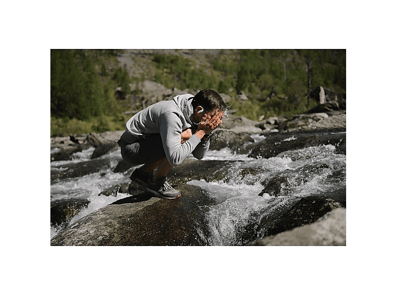 alt1