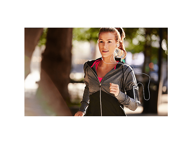 alt1