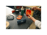 JBL Flip 7 Rose