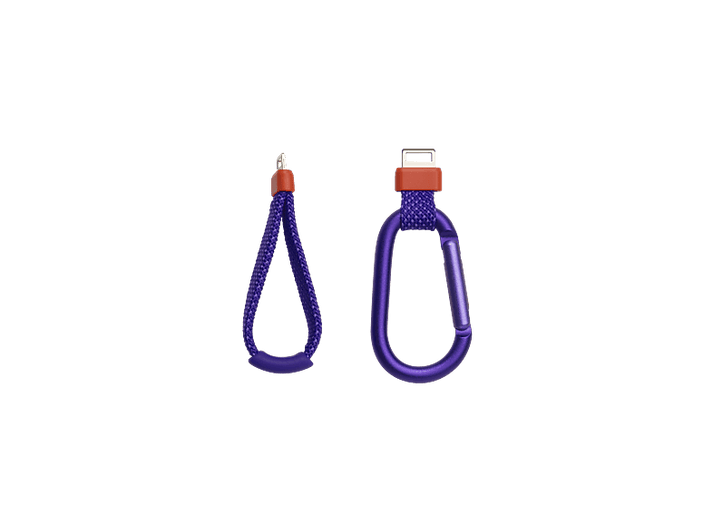 alt1