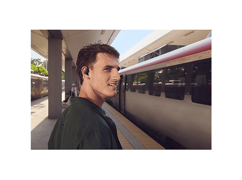 alt1
