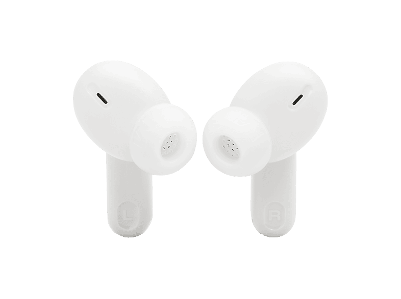 alt1