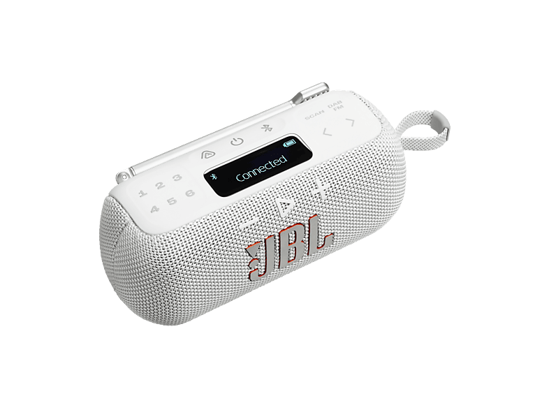 alt1