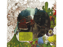 Charger l&#39;image dans la galerie, Joni Mitchell : Song To A Seagull - LP
