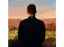 Charger l'image dans la galerie, Le dos d'un homme face à un paysage désertique. Il porte un costume noir. Le ciel montre un coucher de soleil.
