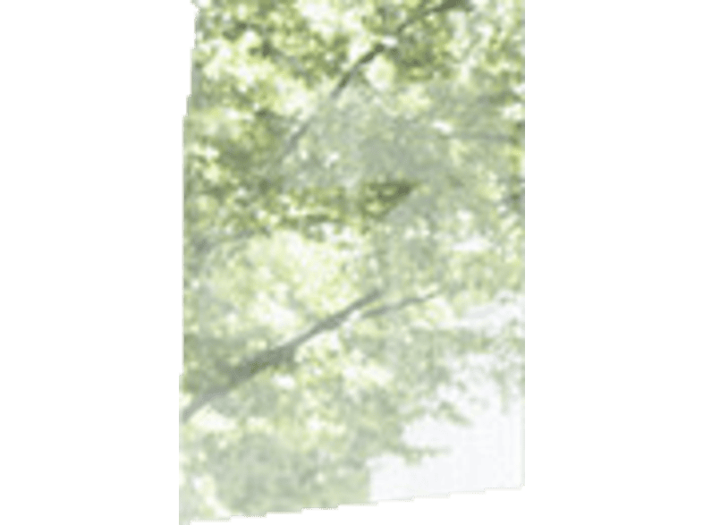 alt1
