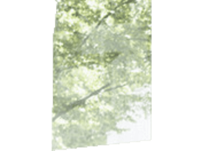alt1